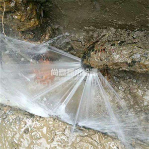 金水自来水管道漏点检测